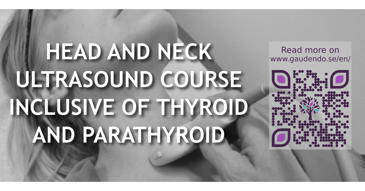 Ultrasound Courses Hands On Head And Neck Ultrasound Courses Gaudendo